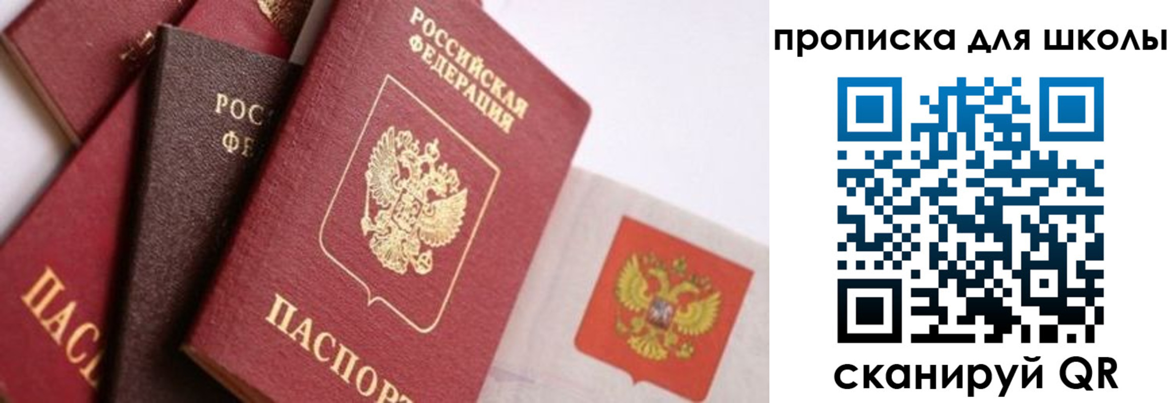 прописка поиск в Протвино